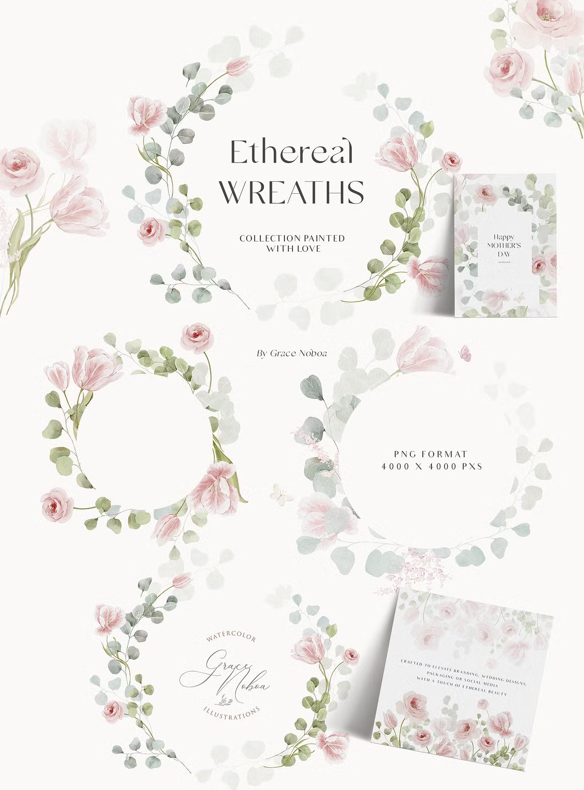 Watercolor pink blush tulips flowers cliaprt