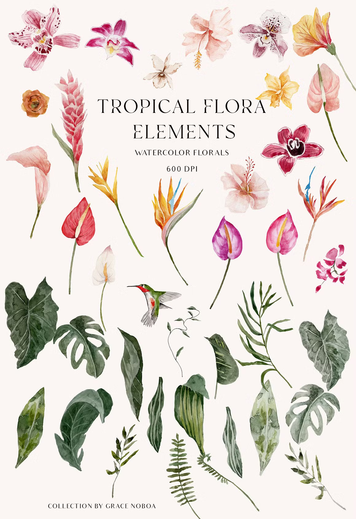 Tropical Summer Exotic floral clipart set