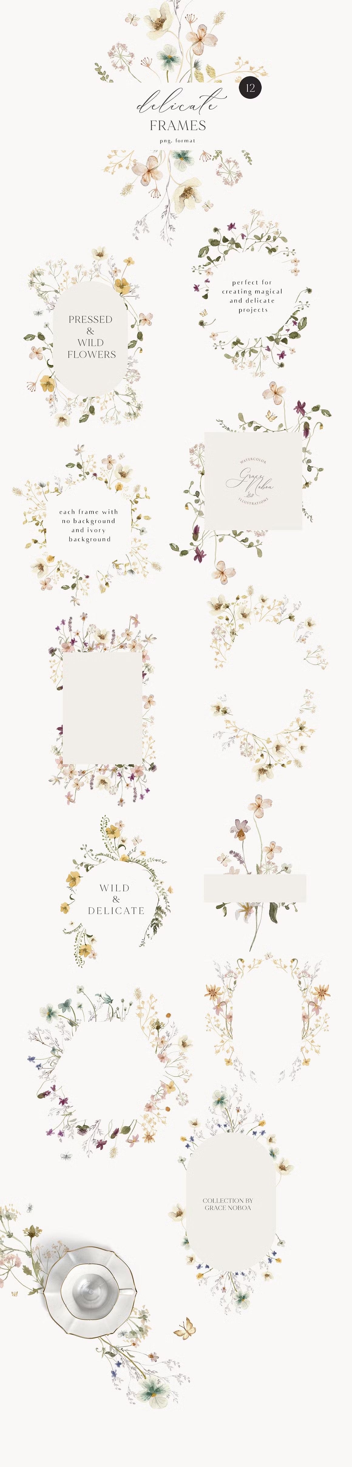Delicate Stories Wildflowers watercolor flowers clipart