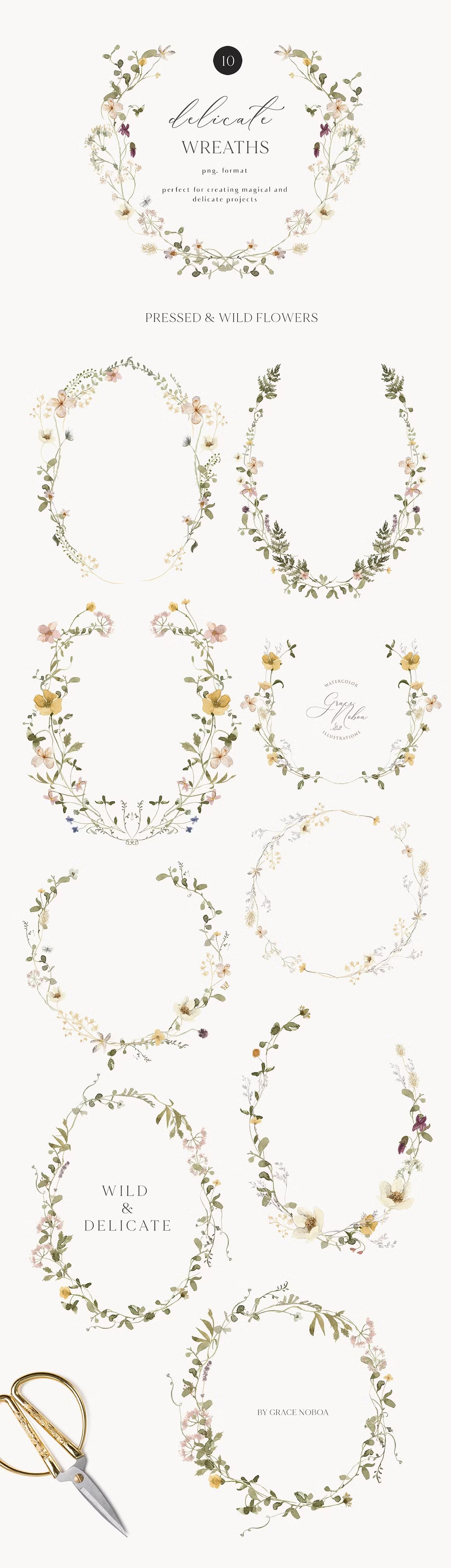Delicate Stories Wildflowers watercolor flowers clipart