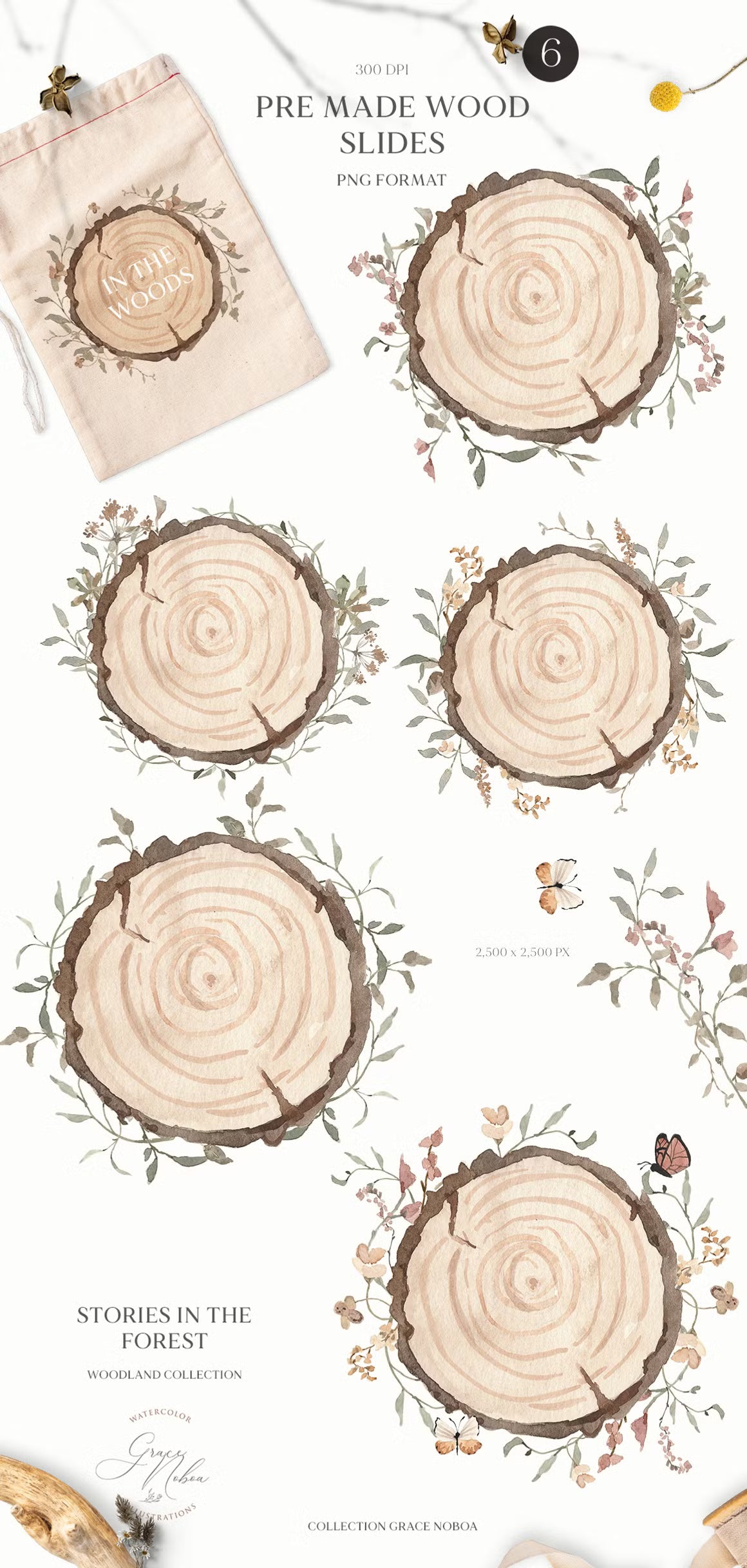 Stories in the Forest Woodland creatures illustrations