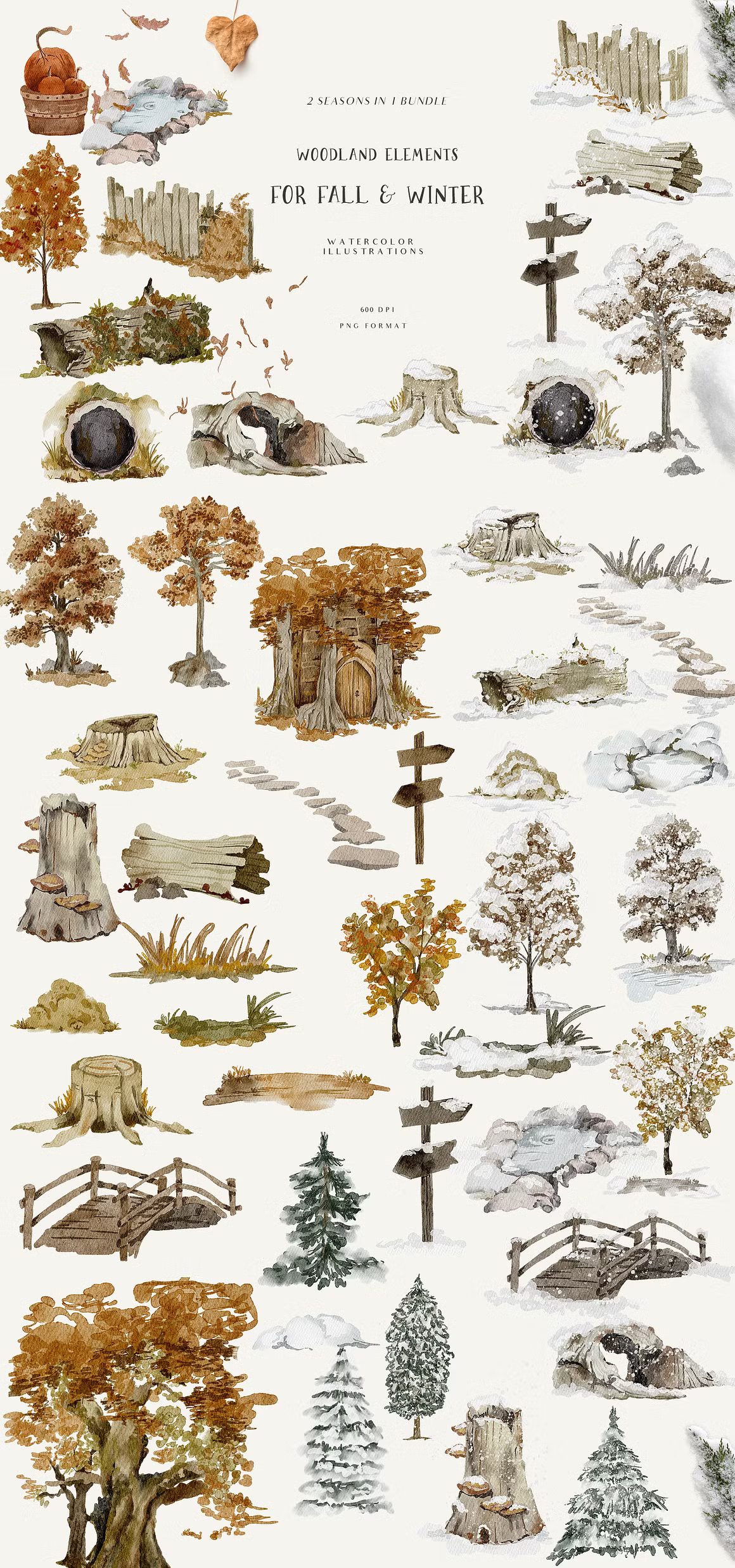 Fall & Winter Woodland Animals set for kids and childrens cliparts
